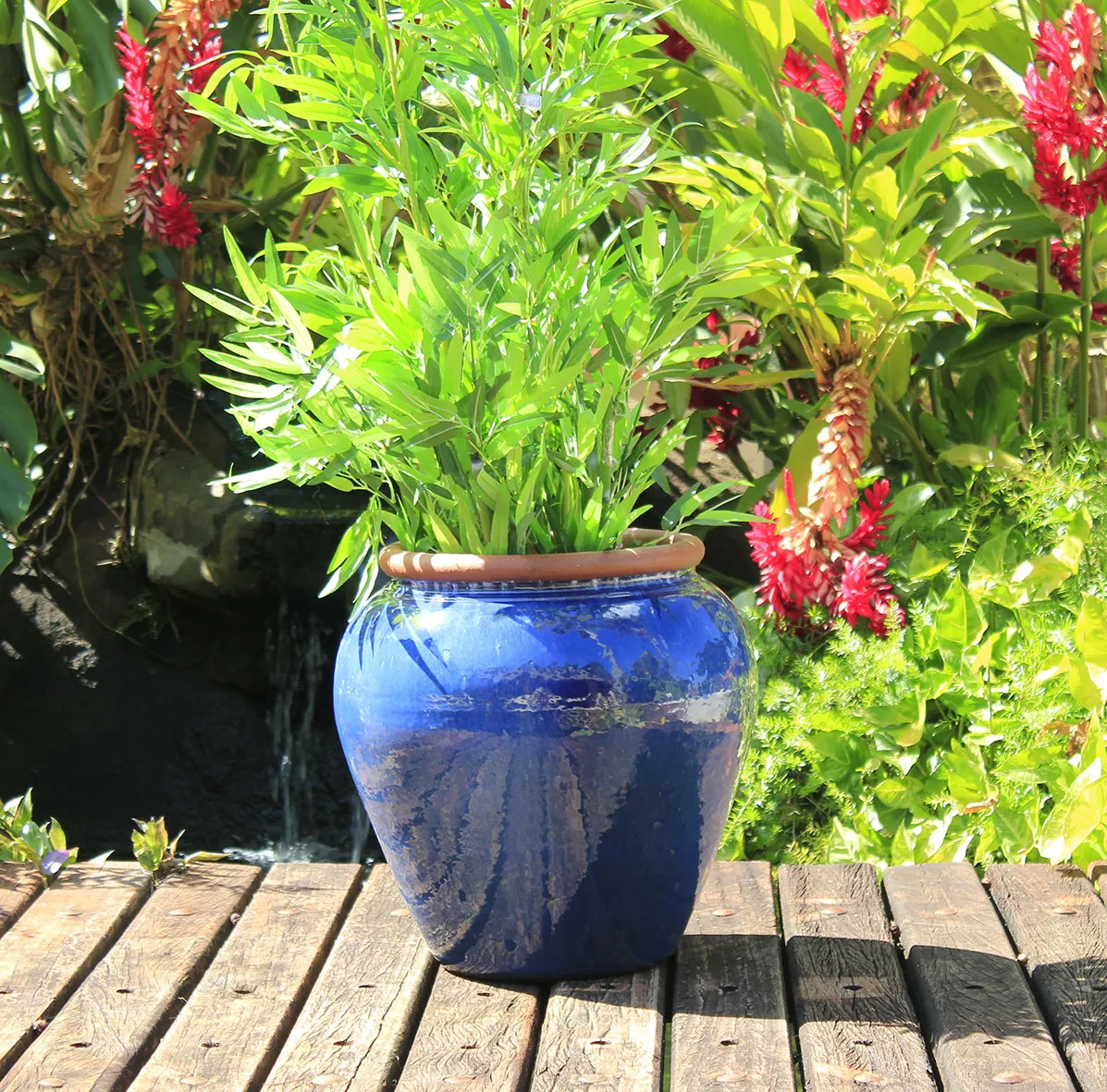 vaso azul de plantas